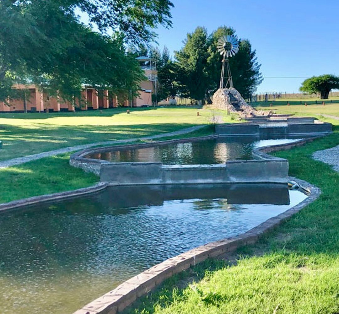 Garden at A Puro Campo